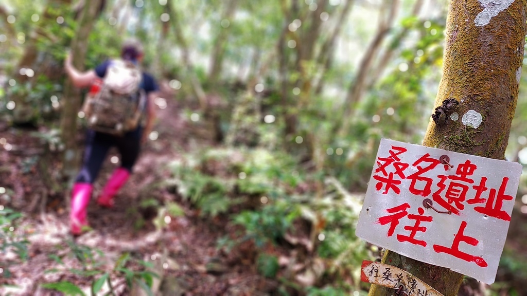 六龜特別警備道/津野古道-東方足跡人文生態導覽解說團隊