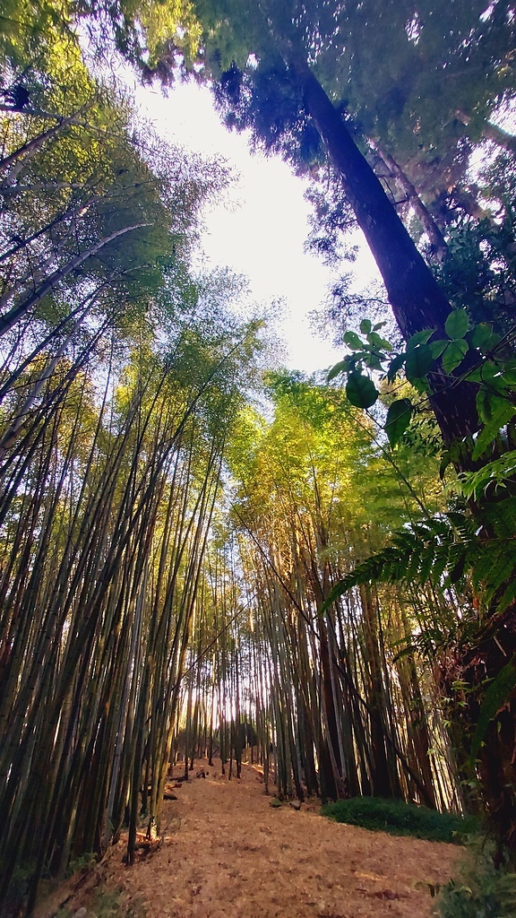 瑞太古道-東方足跡人文生態 導覽解說團隊