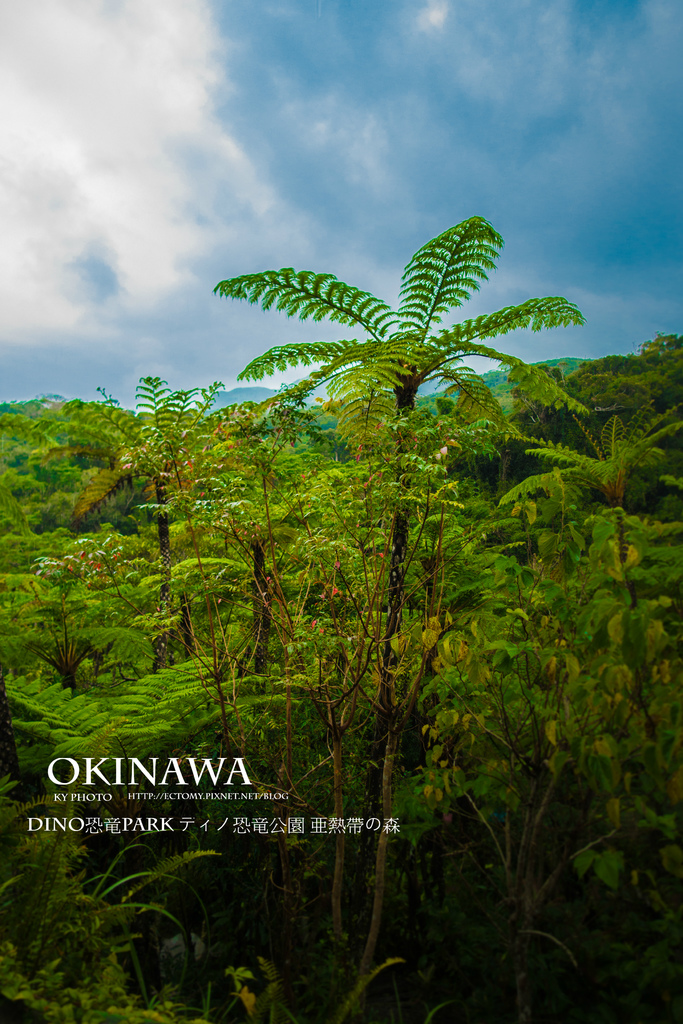 【 沖繩。景點】沖繩版本~原亞熱帶之森侏儸紀公園，Dino恐