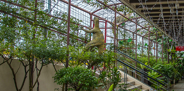 【 沖繩。景點】沖繩版本~原亞熱帶之森侏儸紀公園，Dino恐