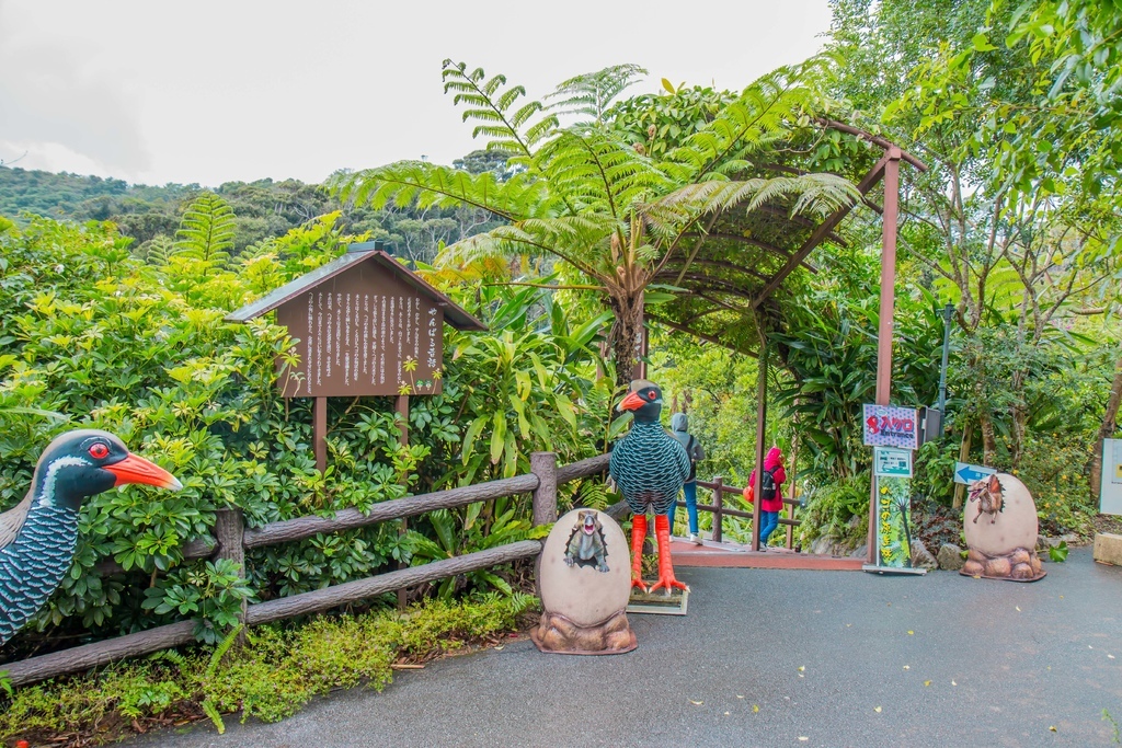 【 沖繩。景點】沖繩版本~原亞熱帶之森侏儸紀公園，Dino恐