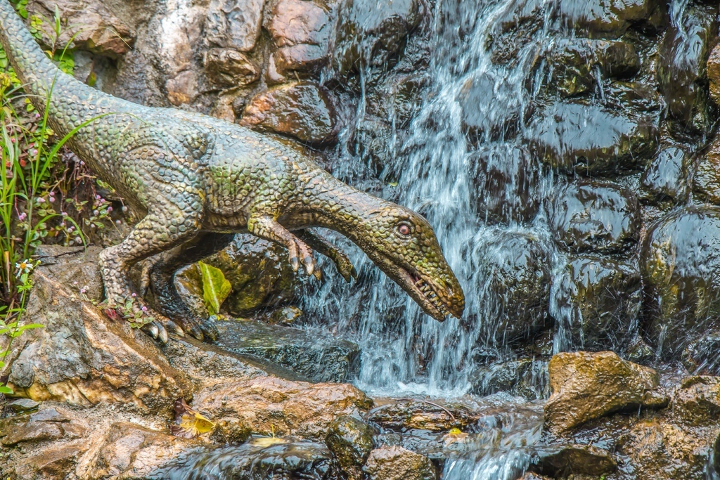 【 沖繩。景點】沖繩版本~原亞熱帶之森侏儸紀公園，Dino恐