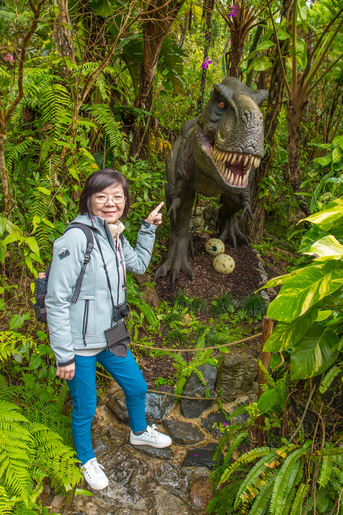 【 沖繩。景點】沖繩版本~原亞熱帶之森侏儸紀公園，Dino恐