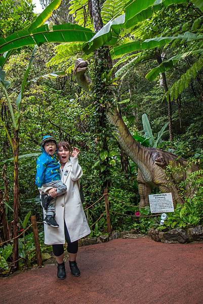 【 沖繩。景點】沖繩版本~原亞熱帶之森侏儸紀公園，Dino恐