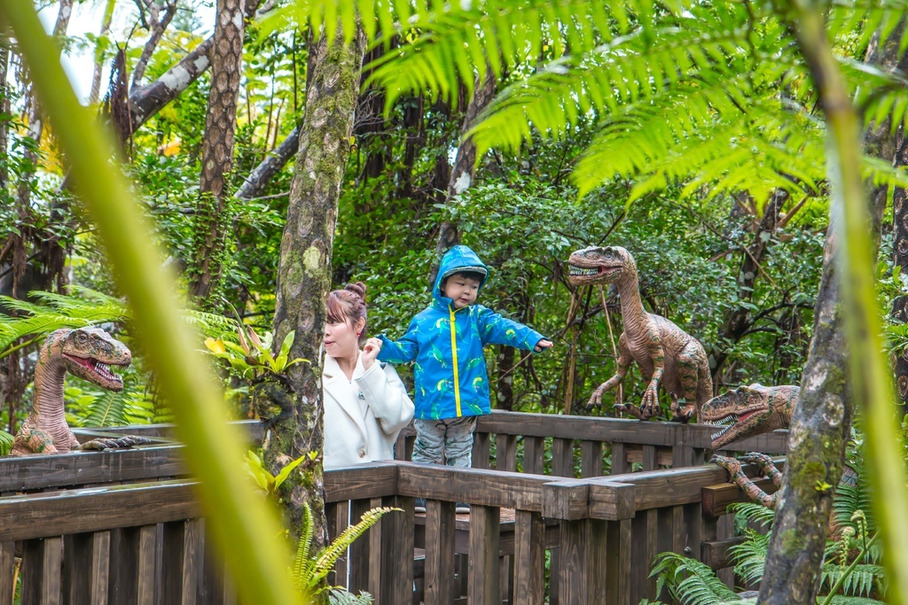 【 沖繩。景點】沖繩版本~原亞熱帶之森侏儸紀公園，Dino恐