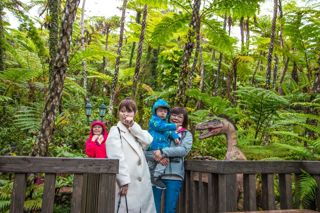 【 沖繩。景點】沖繩版本~原亞熱帶之森侏儸紀公園，Dino恐