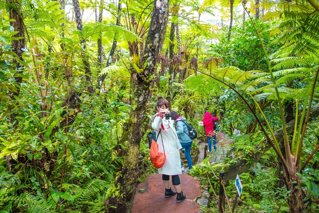 【 沖繩。景點】沖繩版本~原亞熱帶之森侏儸紀公園，Dino恐