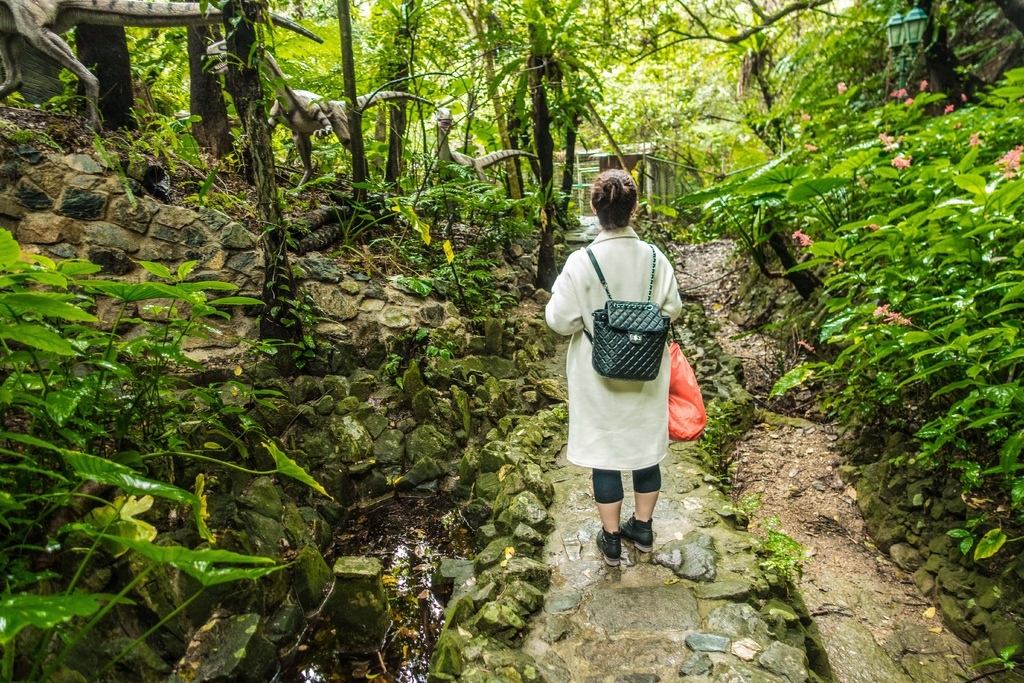 【 沖繩。景點】沖繩版本~原亞熱帶之森侏儸紀公園，Dino恐