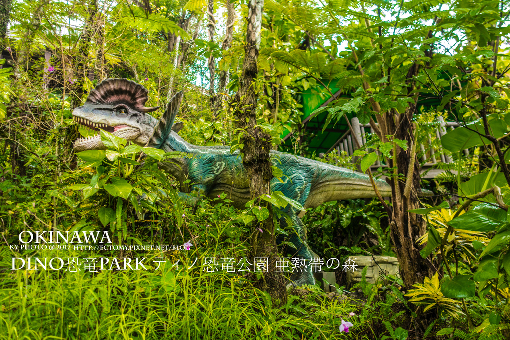 【 沖繩。景點】沖繩版本~原亞熱帶之森侏儸紀公園，Dino恐