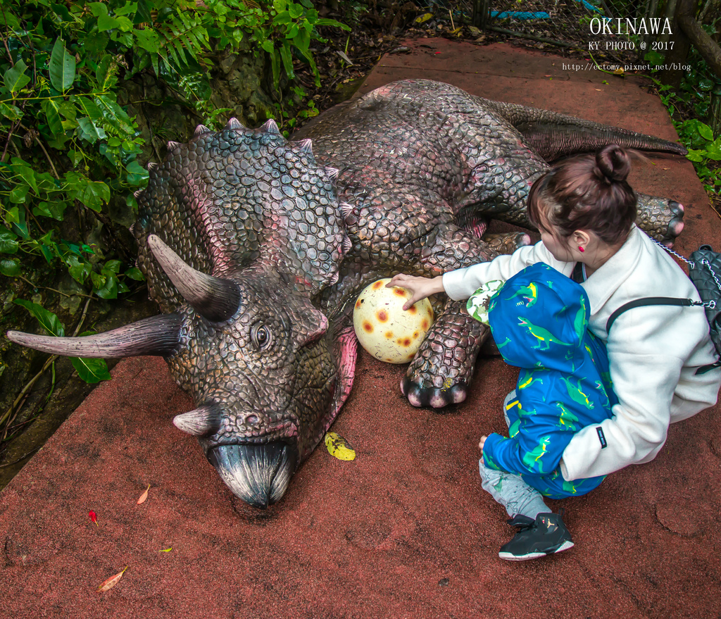 【 沖繩。景點】沖繩版本~原亞熱帶之森侏儸紀公園，Dino恐