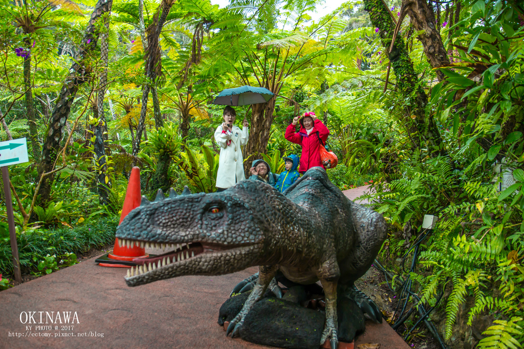 【 沖繩。景點】沖繩版本~原亞熱帶之森侏儸紀公園，Dino恐