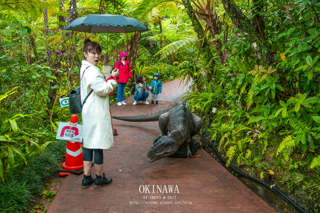 【 沖繩。景點】沖繩版本~原亞熱帶之森侏儸紀公園，Dino恐