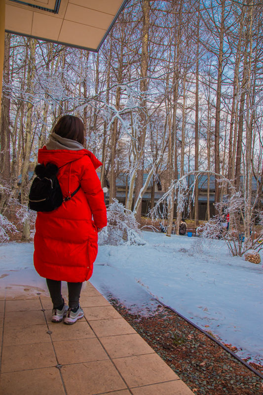 【日本。景點】東京輕井澤星野度假村六大景點行程規劃：高原教會