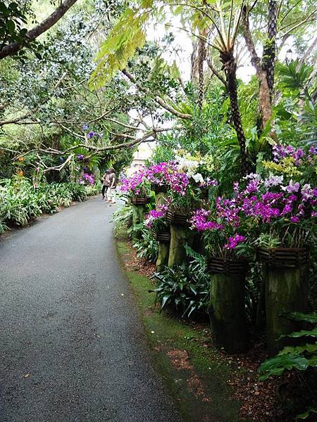 沖繩 蘭花園