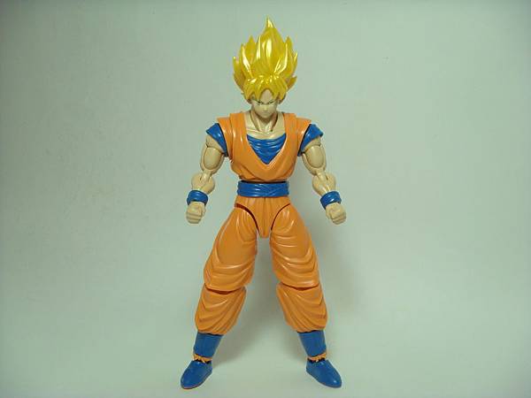 DSC08912.JPG DSC08912.JPG