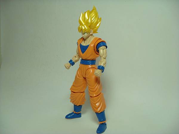 DSC08913.JPG DSC08913.JPG