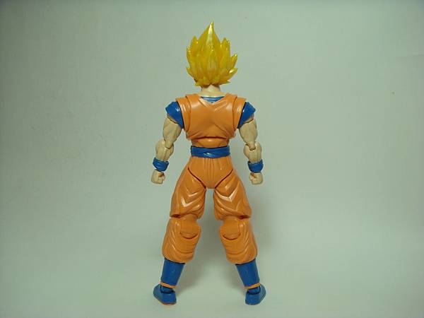 DSC08915.JPG DSC08915.JPG