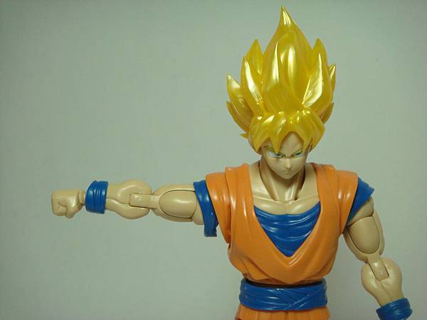 DSC08917.JPG DSC08917.JPG