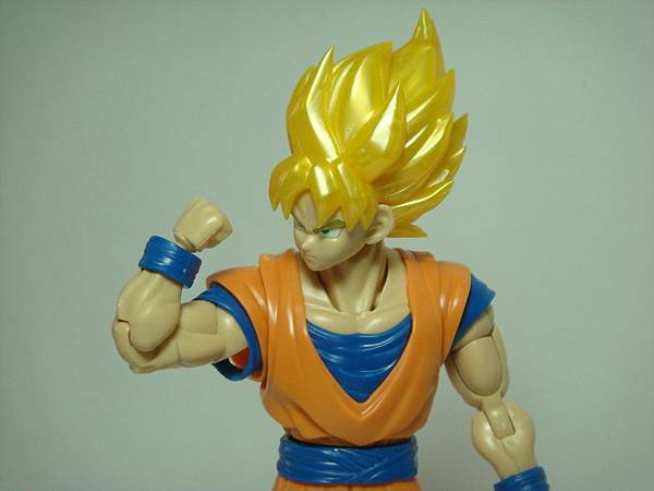 DSC08918.JPG DSC08918.JPG