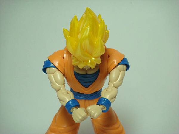 DSC08919.JPG DSC08919.JPG