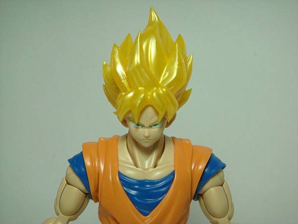 DSC08925.JPG DSC08925.JPG