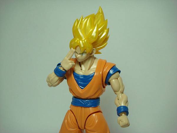 DSC08927.JPG DSC08927.JPG