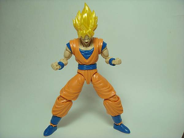 DSC08928.JPG DSC08928.JPG