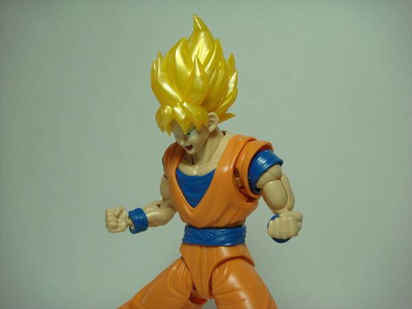 DSC08929.JPG DSC08929.JPG