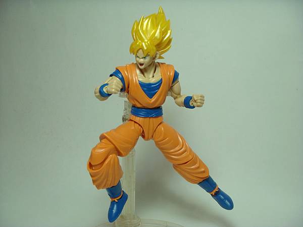 DSC08932.JPG DSC08932.JPG