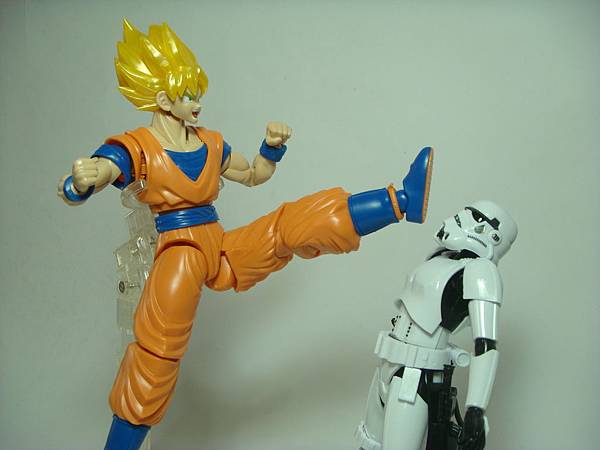 DSC08936.JPG DSC08936.JPG