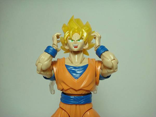 DSC08952.JPG DSC08952.JPG