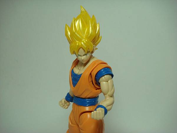 DSC08953.JPG DSC08953.JPG