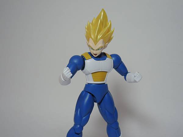 DSCN5331.JPG DSCN5331.JPG