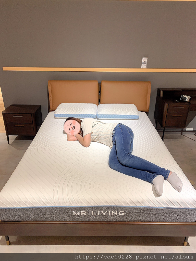 台北北歐家具推薦 台北哪間北歐家具行價格公道透明化 來 Mr Living 居家先生 準沒錯 培養審美就由參觀家具行開始 Mr Living 參觀心得 恆溫冷凝記憶枕 內湖家具行 台北家具行推薦