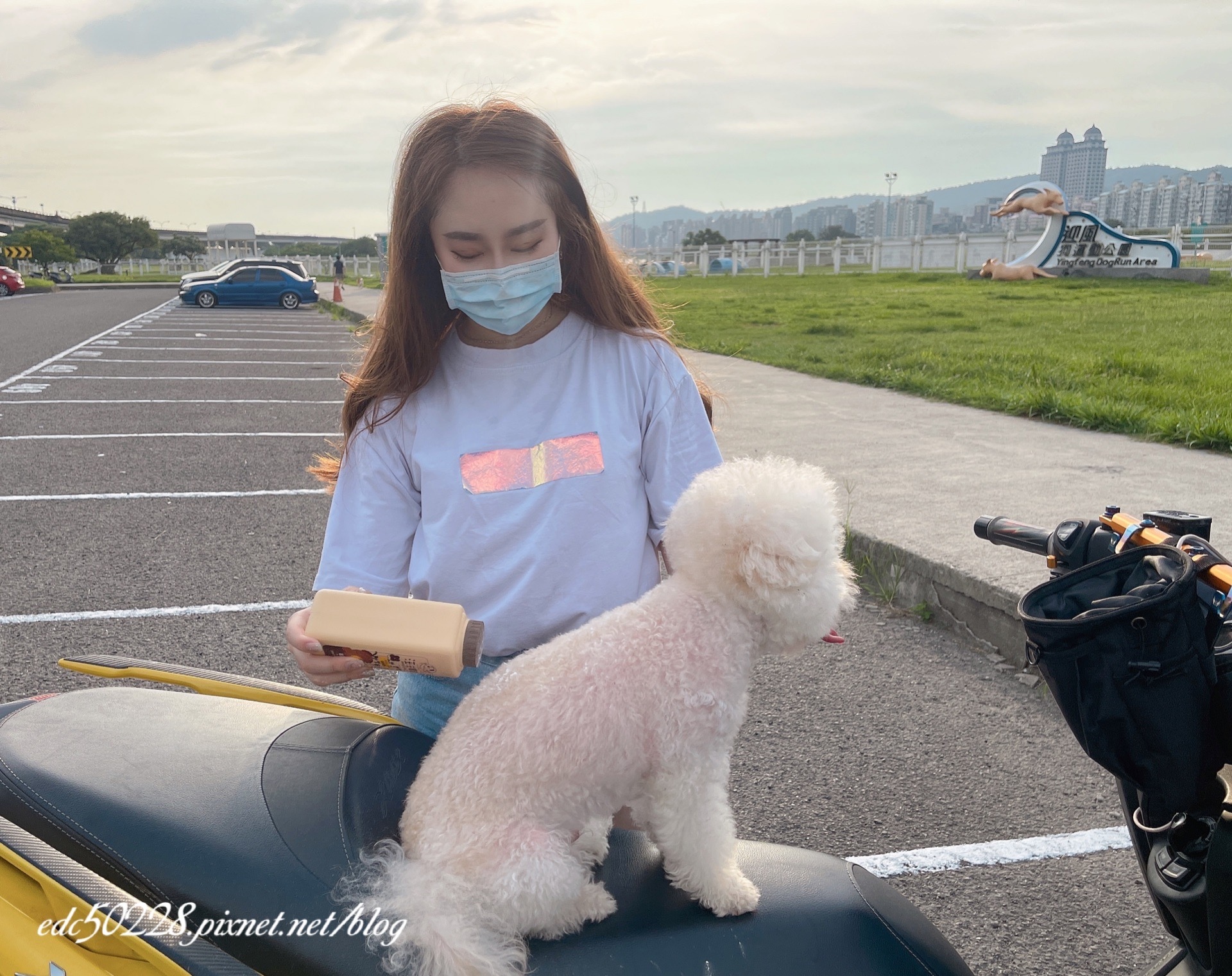 狗狗除蚤防蚊液推薦_汪汪寶貝