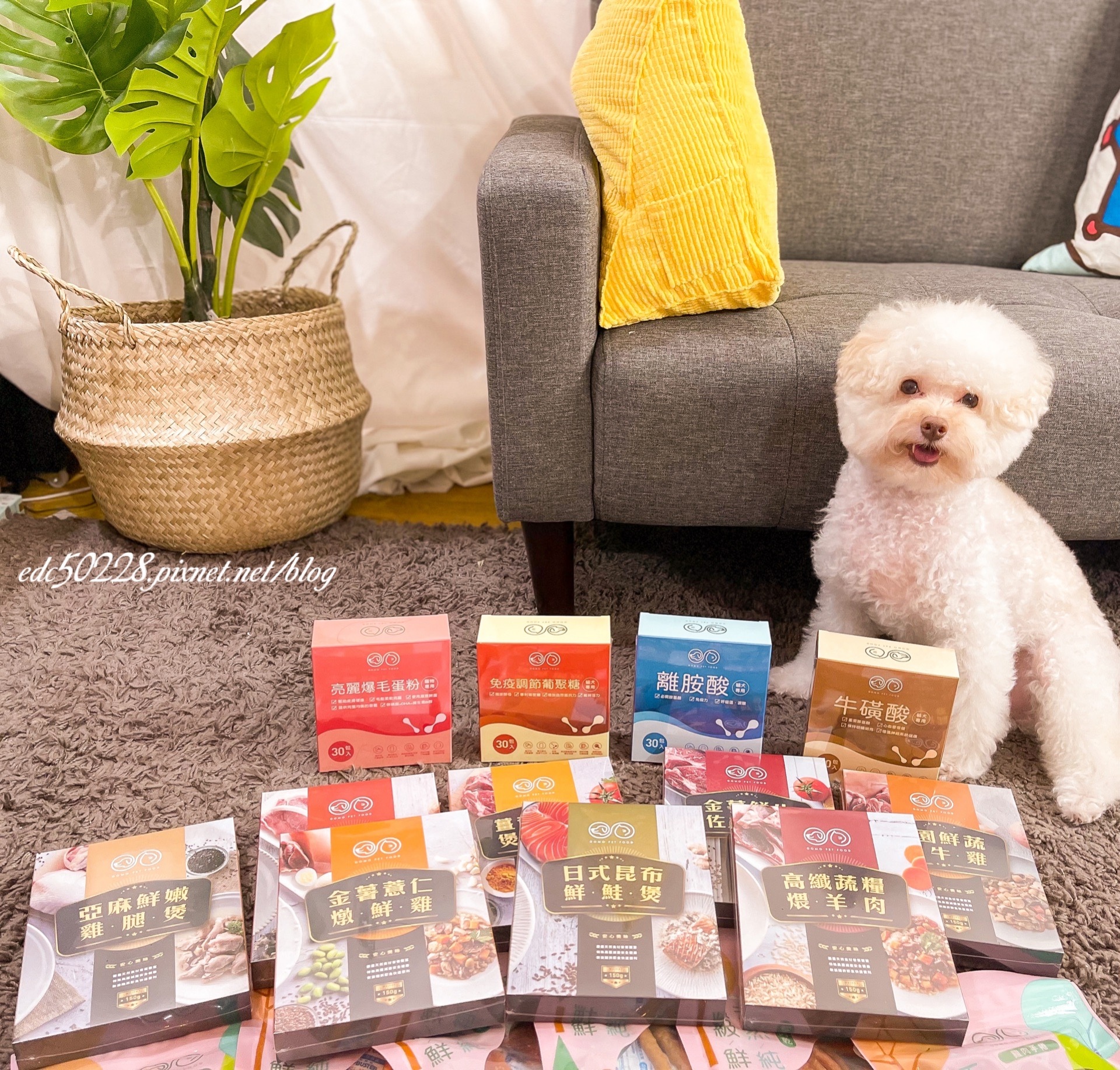 GOMO PET FOOD寵物食品