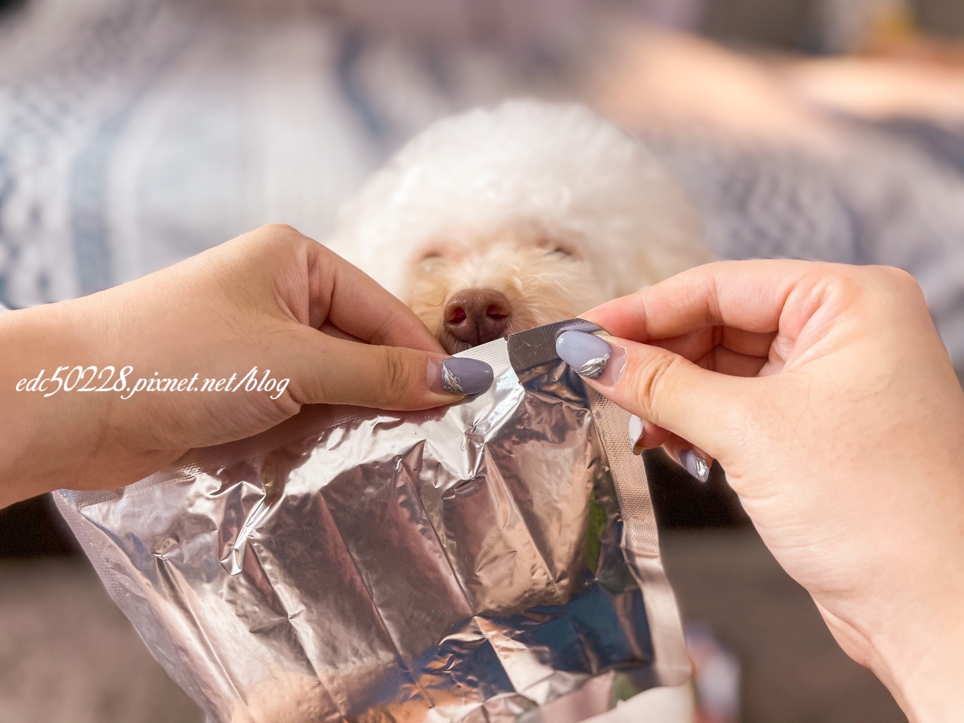 GOMO PET FOOD鮮食餐包