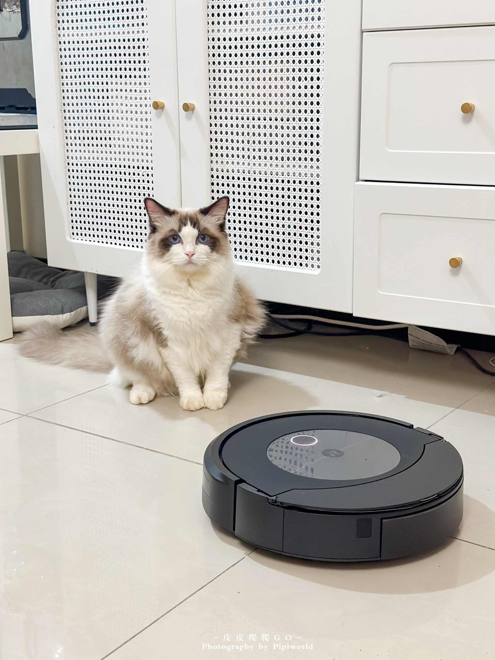 【掃拖機器人推薦】iRobot Roomba Combo J
