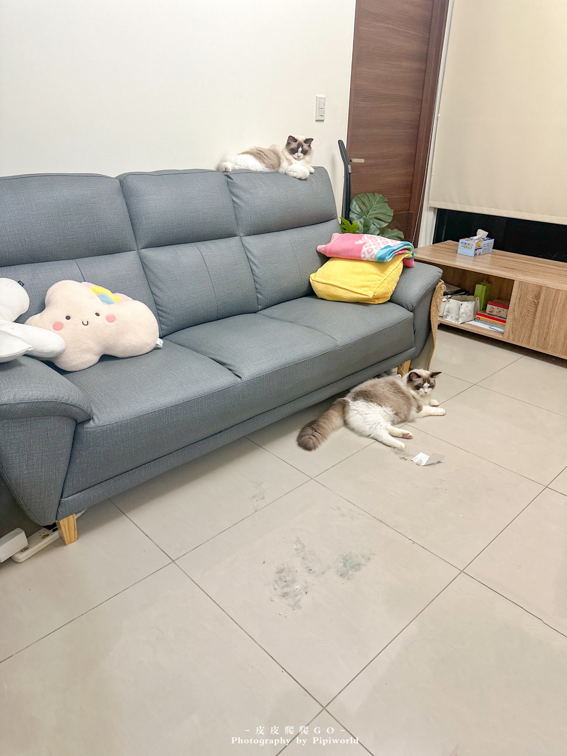 【掃拖機器人推薦】iRobot Roomba Combo J