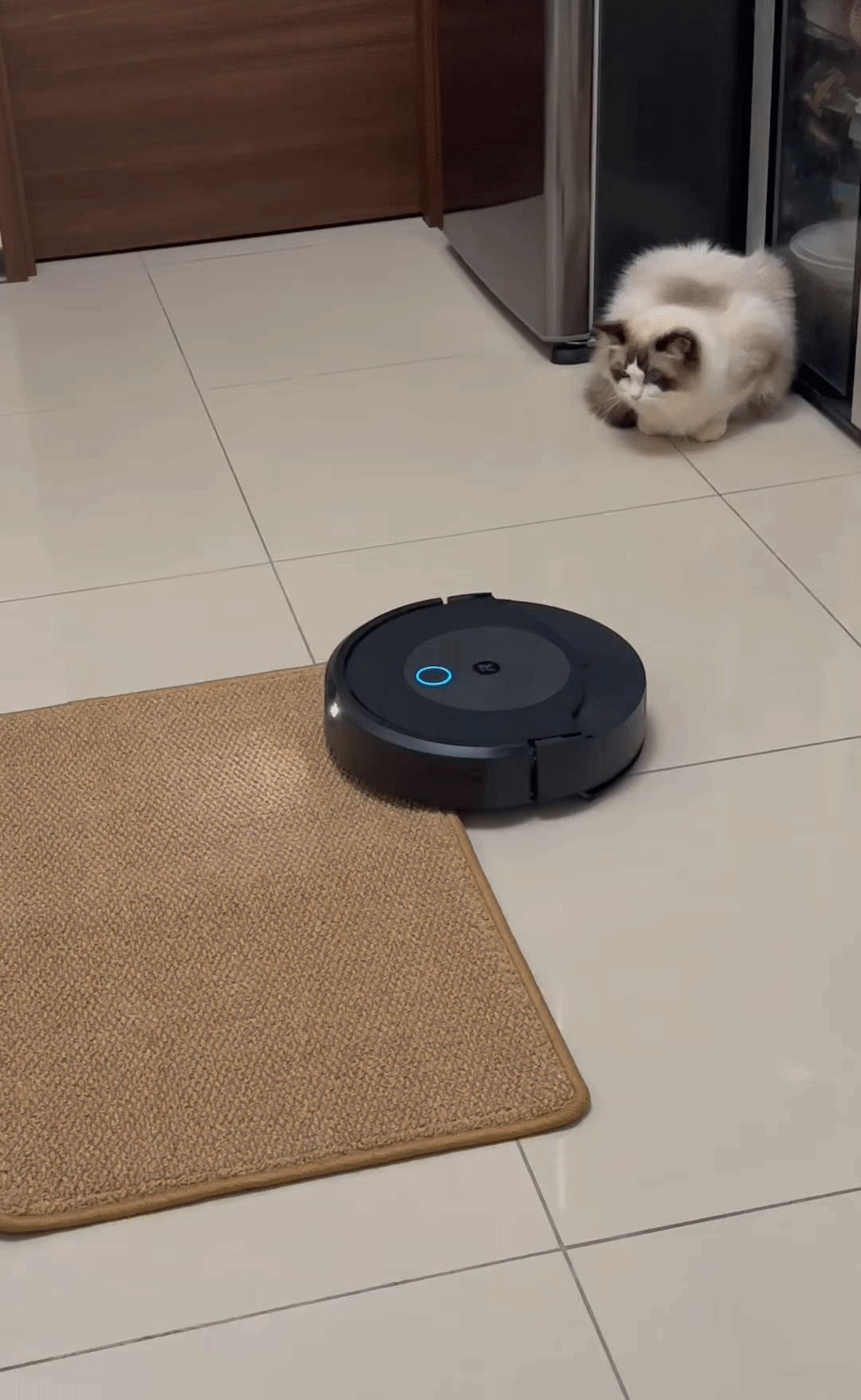 【掃拖機器人推薦】iRobot Roomba Combo J