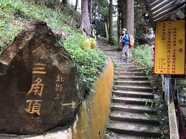 IMG_1265.JPEG IMG_1265.JPEG