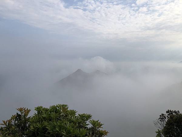 IMG_1278.JPEG IMG_1278.JPEG