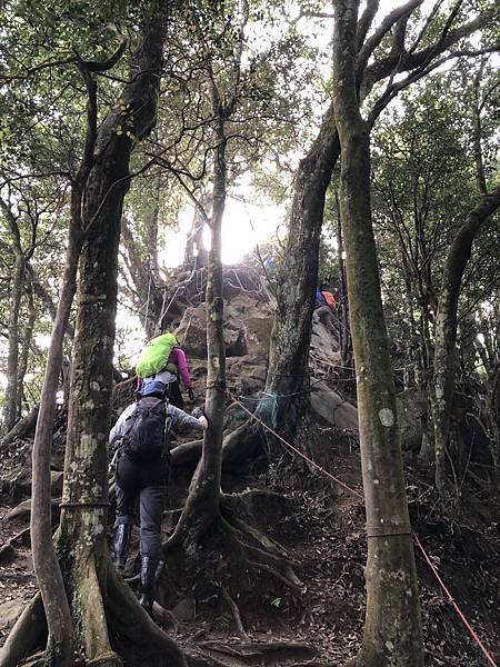 IMG_1276.JPEG IMG_1276.JPEG