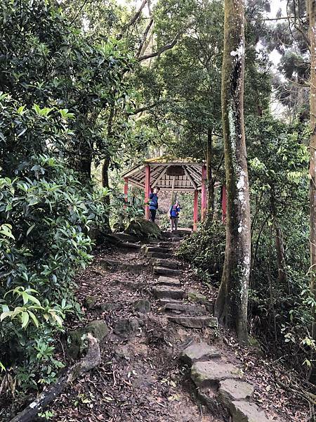 IMG_1272.JPEG IMG_1272.JPEG