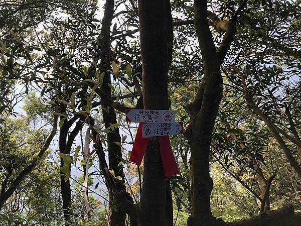 IMG_1303.JPEG IMG_1303.JPEG