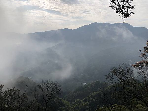 IMG_1305.JPEG IMG_1305.JPEG