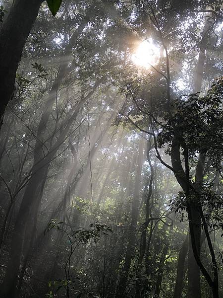 IMG_1321.JPEG IMG_1321.JPEG