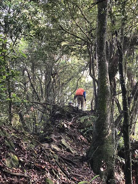 IMG_1324.JPEG IMG_1324.JPEG