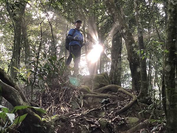 IMG_1318.JPEG IMG_1318.JPEG