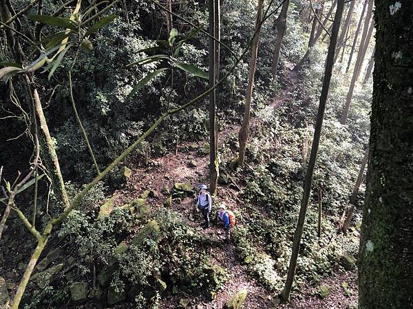 IMG_1328.JPEG IMG_1328.JPEG